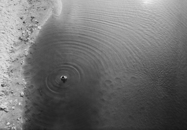 And the overall winner is...After much debate, David Gould's 'Boy in the Water' was picked by the judges as the outstanding entry in our inaugural Eyewitness Photography Competition. 'It was as if the circle of life was emitting from this little boy,' the photographer recalled of the moment he captured the image