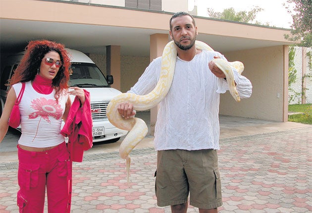 Pictures from Hannibal Gaddafi's laptop show the Colonel's son and his
wife