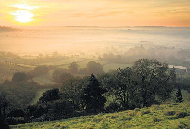 Those of us who wake with the rising sun are apparently 'slimmer, happier and healthier'