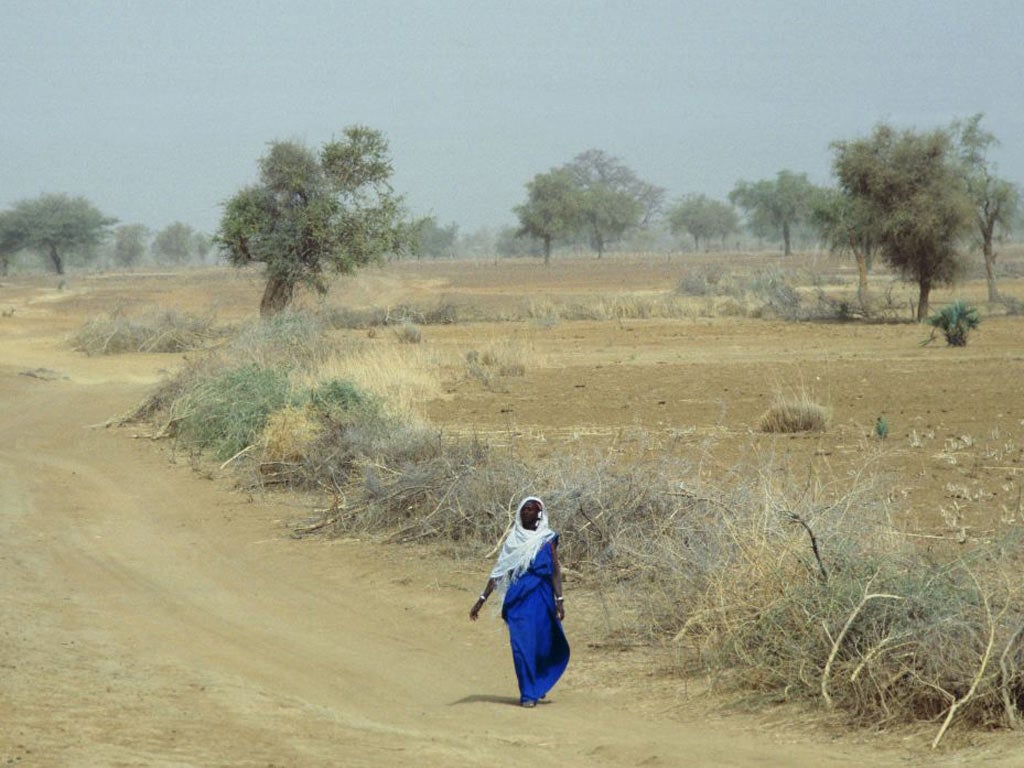 The people of Burkina Faso rely on burning wood for 90 per cent of their energy needs