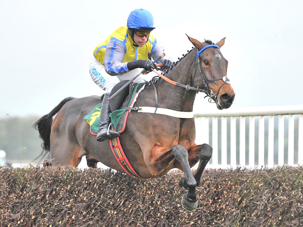 Peddlers Cross, under Timmy Murphy, jumps immaculately on his way to a winning debut over fences at Bangor yesterday