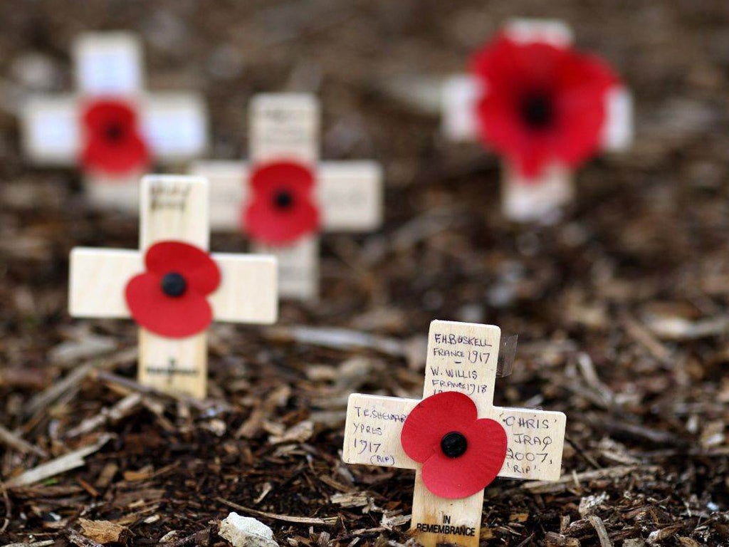 Poppies with dedications in a Field of Remembrance, by the war memorial in Cheltenham