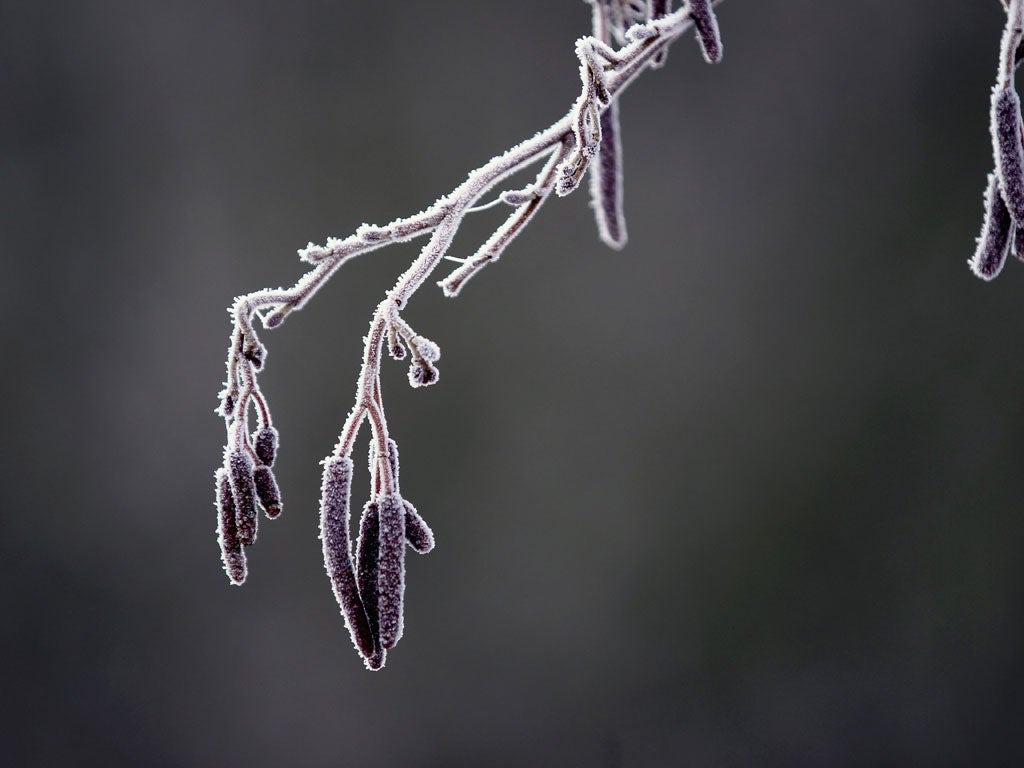 There were an estimated 25,700 excess deaths in England and Wales in winter 2010/11 - 110 fewer than the winter before