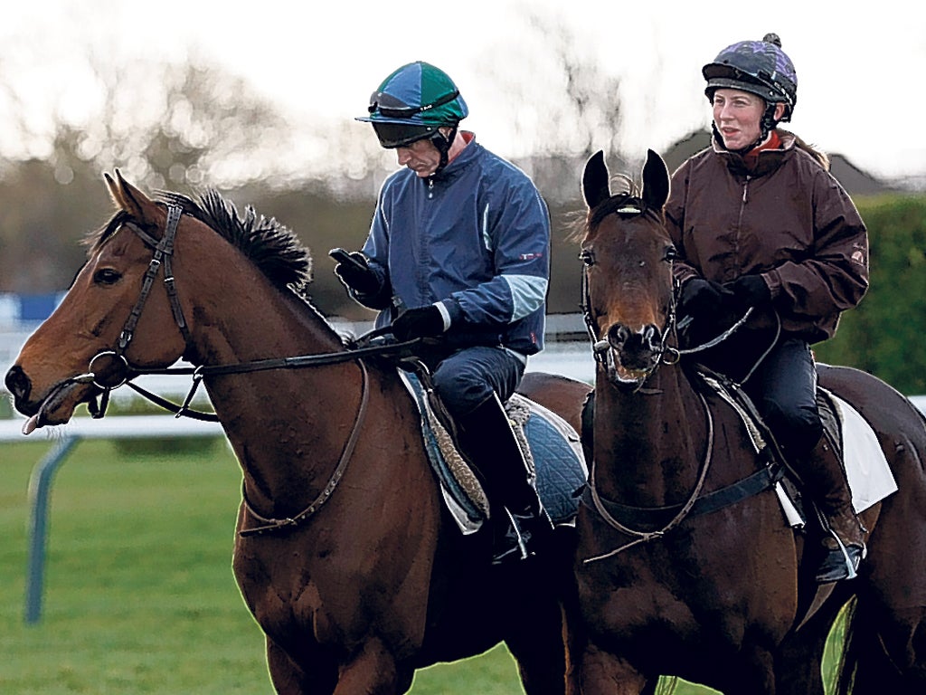 Muirhead, right, unexposed over fences, looks a value selection at 25-1