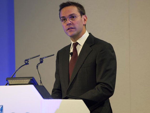 James Murdoch was reappointed as a director of BSkyB at the company's annual general meeting today