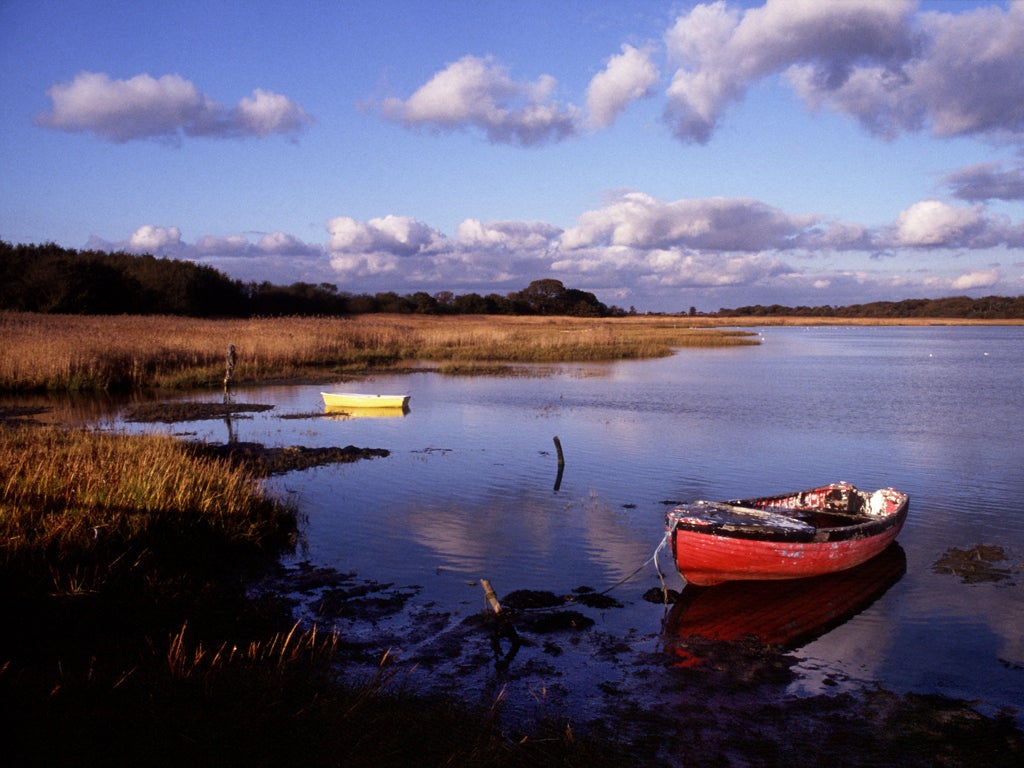 Rowing boats on the River Yar