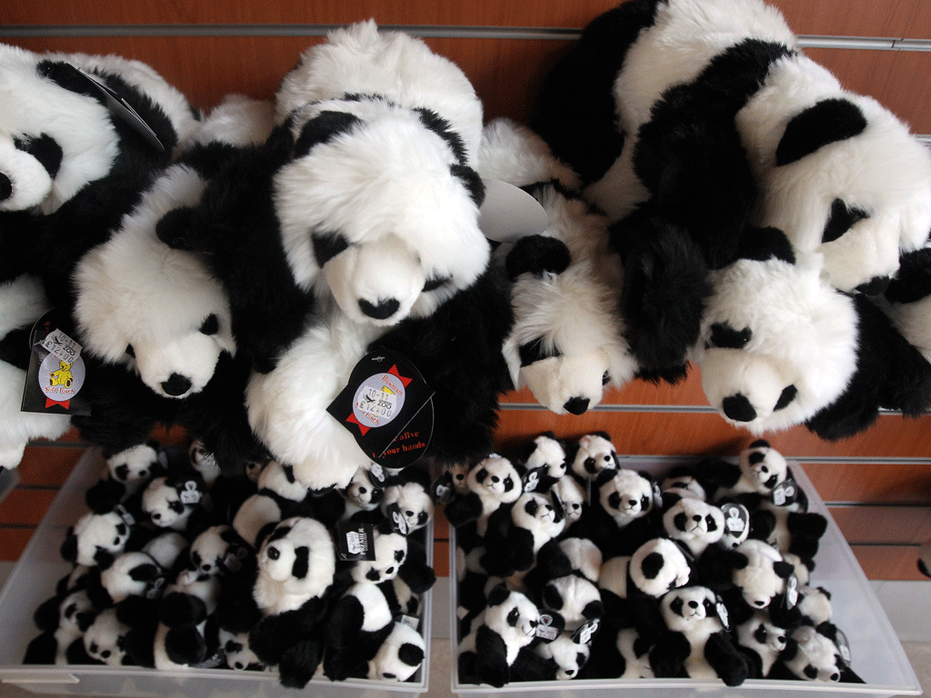 Merchandise at Edinburgh Zoo