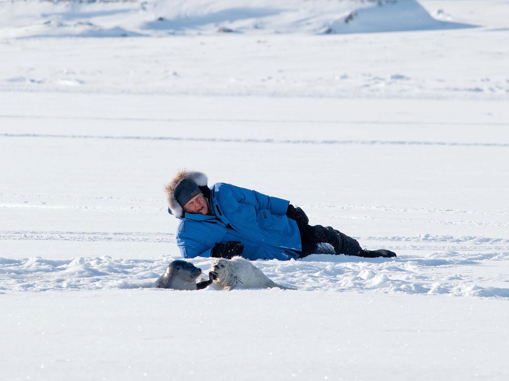 Seal holes: "Sometimes you've got plenty of time. There's
nothing else in the shot and you can wait to get it right. But other times it's taken you all day; there's five of you; you
may be having a rotten time and you come to a point where this is only going to happen once - and you'd better get it
right, boy.'