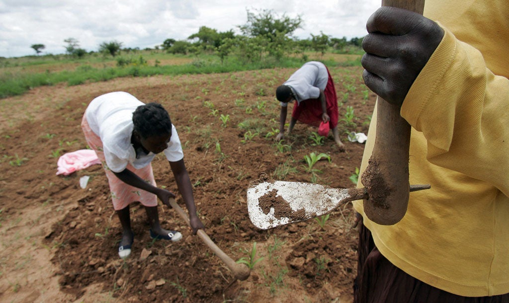 Lendwithcare.org helps people in developing countries set up small businesses, such as small farms, to trade their way out of poverty