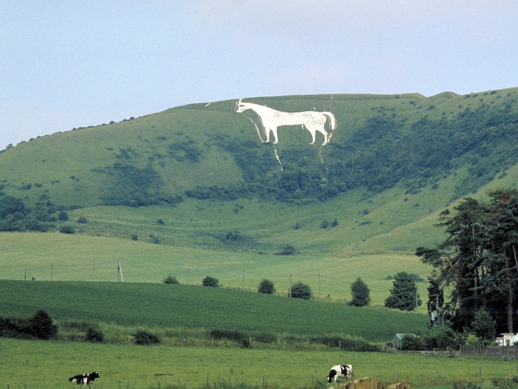 The White Horse at Westbury was carved into the chalk grassland below an Iron Age hillfort at Bratton Camp in Wiltshire hundreds of years ago