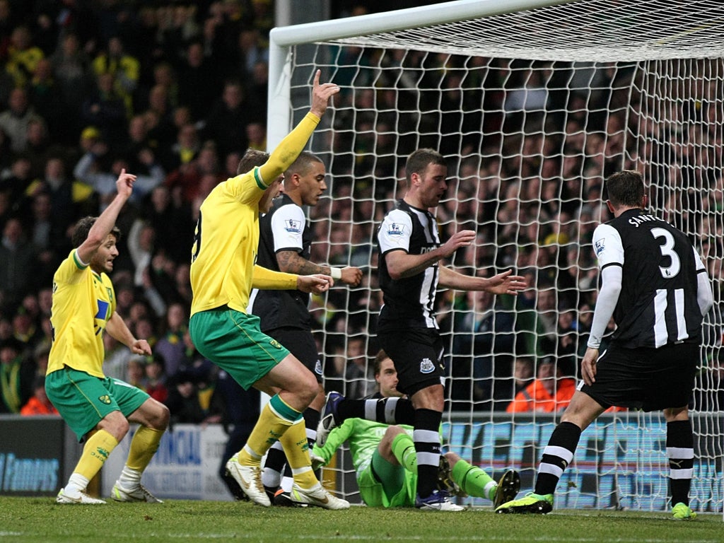 Wes Hoolahan (left) celebrates scoring Norwich's scruffy first goal