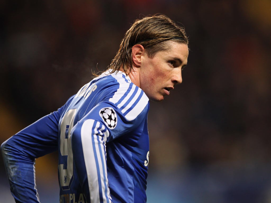 Fernando Torres has scored just three Premier League goals since joining last January