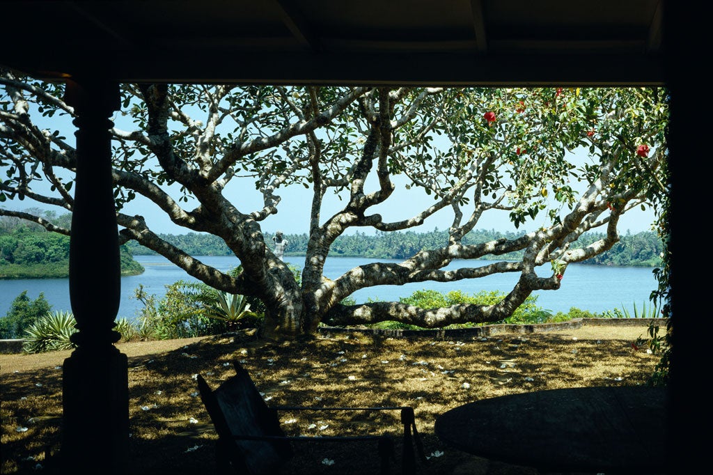 <p>A view of the lagoon from the verandah, Lunuganga</p>