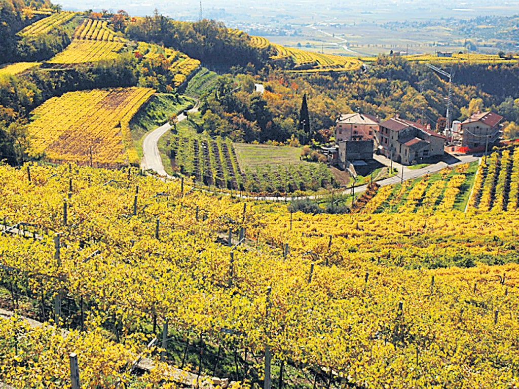 Plans for a waste plant were halted in the Valpolicella region, where descendants of Dante live