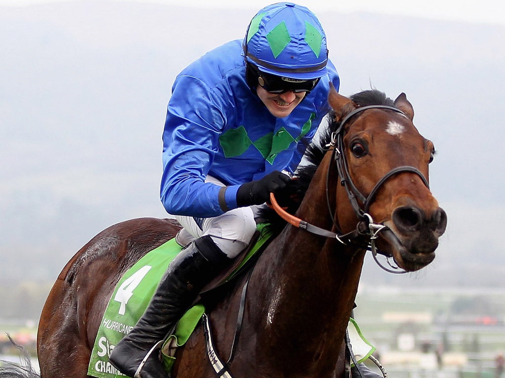 The Festival Hurdle market has seen support for Thousand Stars (pictured) over the favourite Hurricane Fly