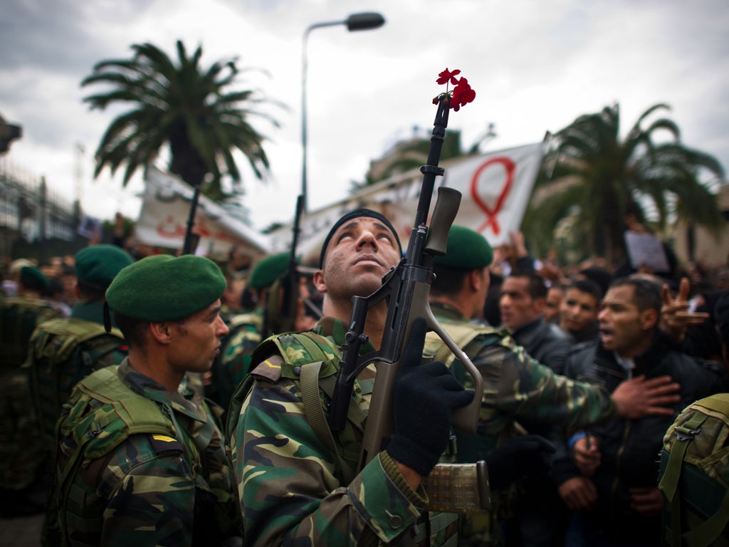 Dozens of new publications have sprung up in Tunisia since the uprising against President Zine El Abidine Ben Ali in January