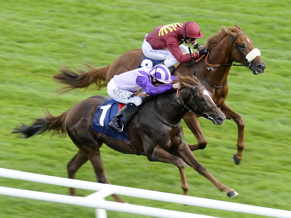 Harvard N Yale is just edged out by Cavaleiro in a two-year-old contest at Newbury in September