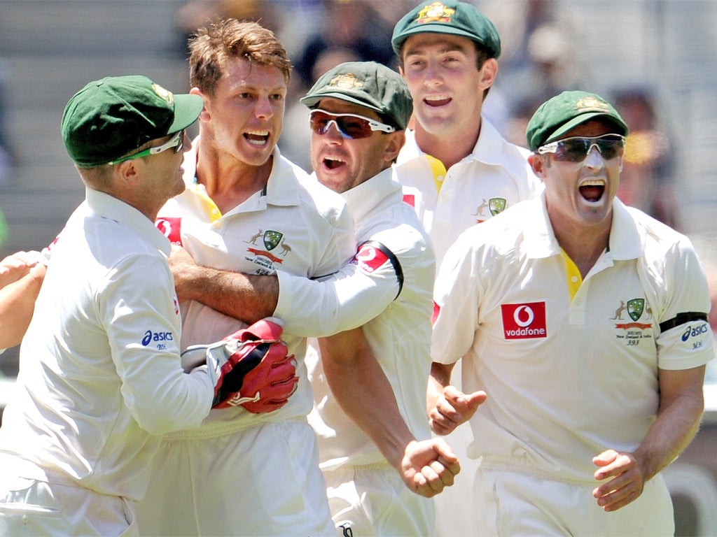 Australian paceman James Pattinson (second left) celebrates with team-mates the dismissal of Indian batsman Rahul Dravid