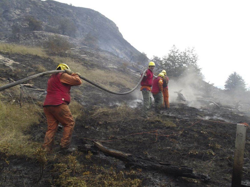 Fire crews fight the blazes in Chile's Torres del Paine national park which have been raging since Tuesday