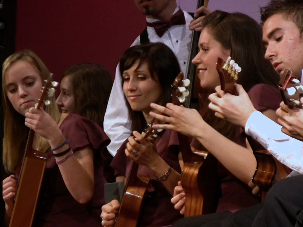 Ukelele lessons may be rewarding for those whowant to learn a new skill – but only if they possess some musical talent