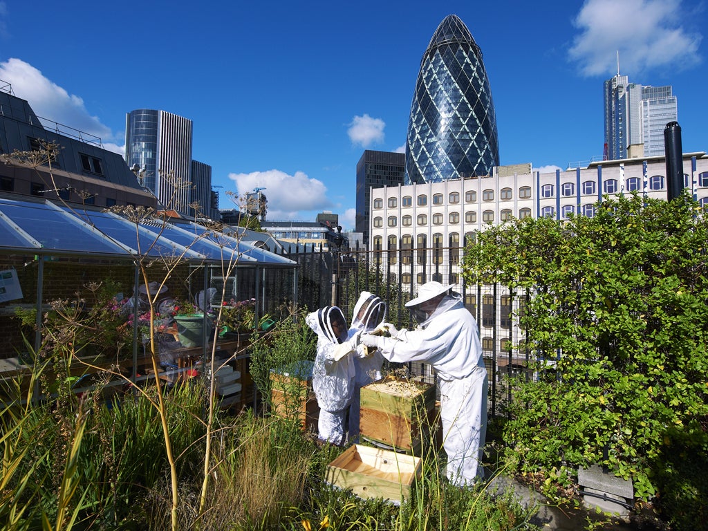 Bee hives are run by schools and groups across London, such as Sir John Cass's Foundation Primary School