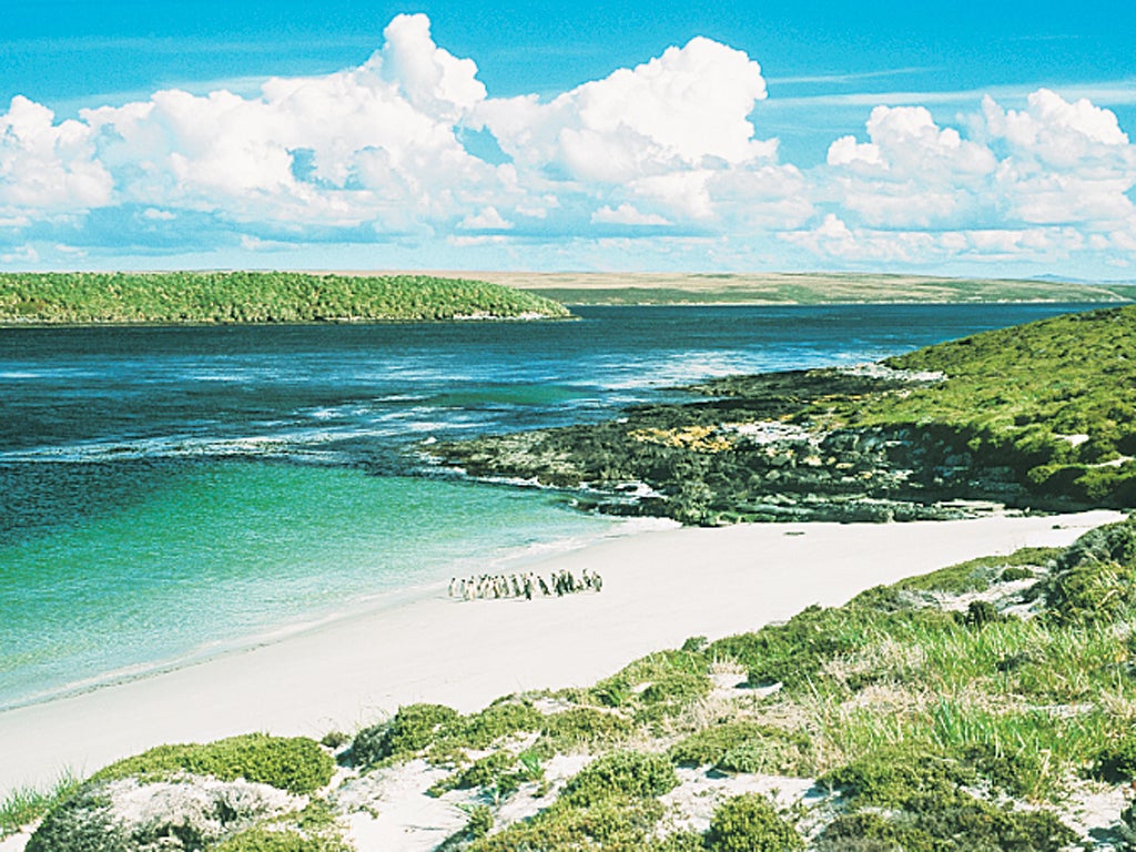 David Cameron believes islanders should determine their own future