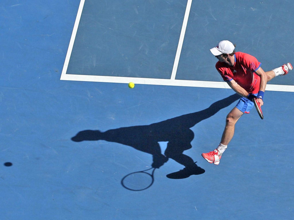Andy Murray lost in straight sets to Novak Djokovic in last year’s final at Melbourne Park