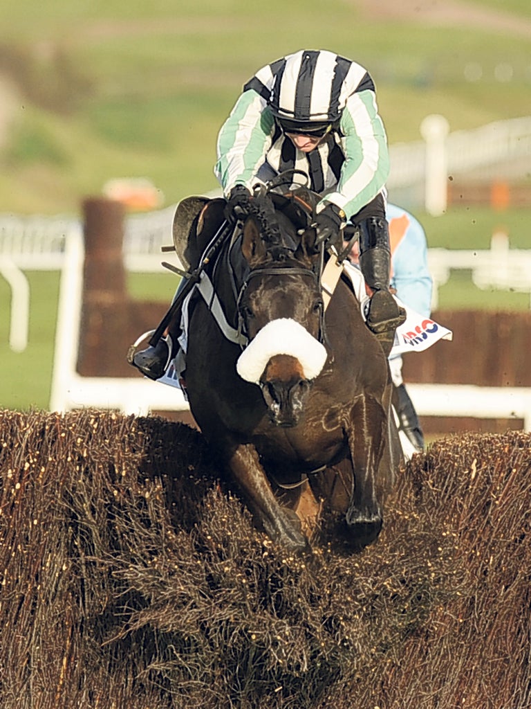 Dougie Costello and Midnight Chase crash through the last to win at Cheltenham in 2010