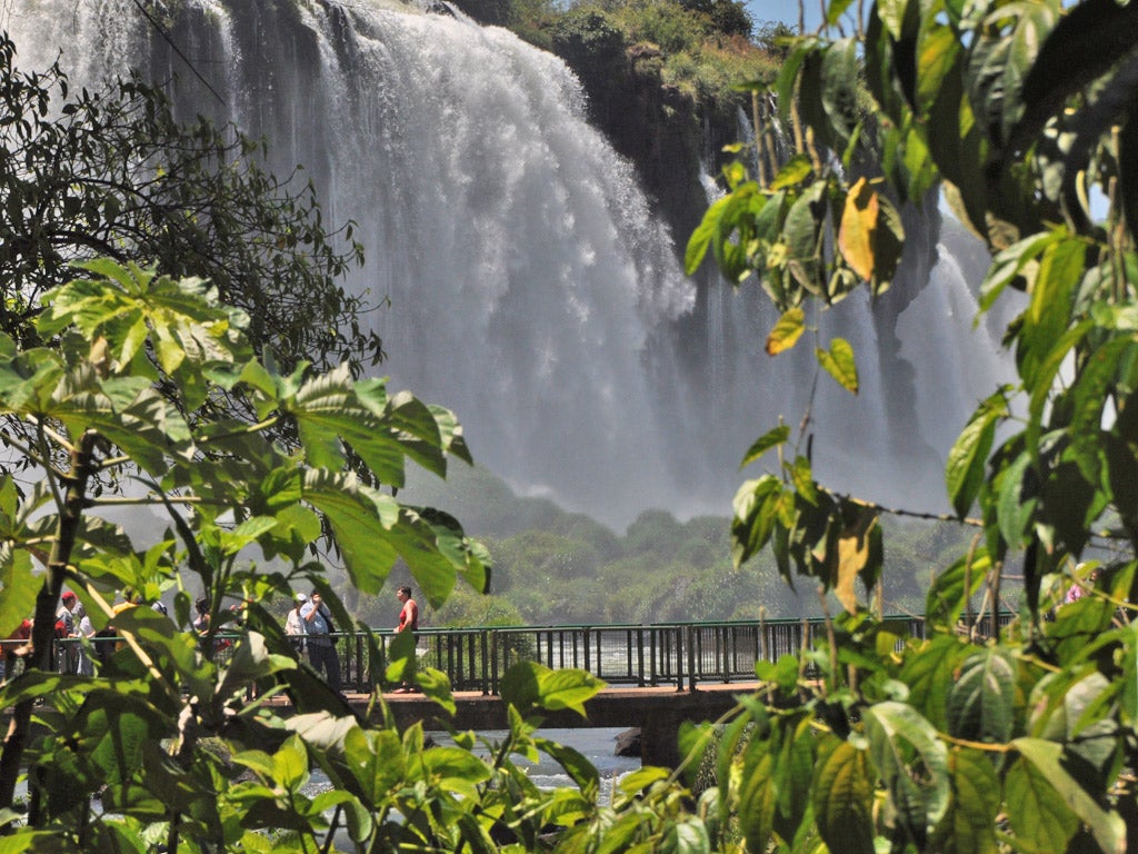 A walk on the wild side: Allow two days to see the magnificent Iguazu Falls - first from Argentina, then across the border, from the Brazilian side