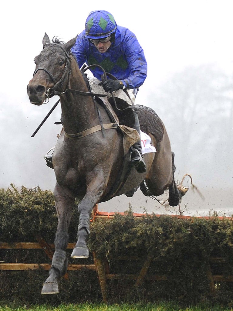 Ruby Walsh and Hurricane Fly clear the last to win at Leopardstown
