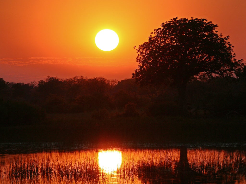 Okavango Delta, Botswana: "This lush, inland oasis is a magnet for an incredible volume and diversity of wildlife."