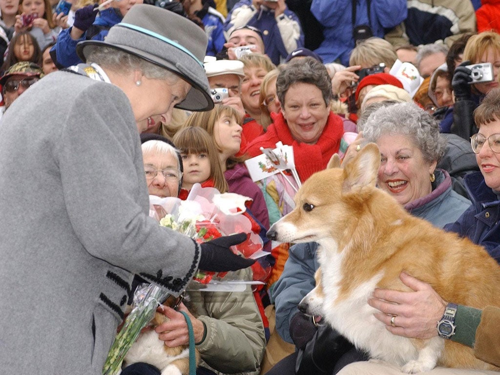 When she crossed a corgi with a dachshund to create the dorgi the Queen perhaps unwittingly began the craze for designer cross-breeds.