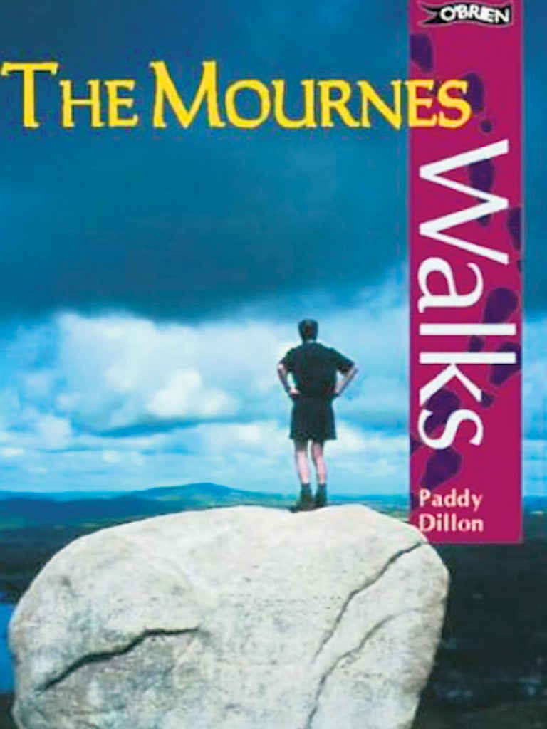 <p>1. The Mournes Walks by Paddy Dillon</p>
<p>£7.99, obrien.ie</p>
<p>Walks in the Northern Irish Mourne mountains that take in the rugged coast and beautiful forest parks.</p>