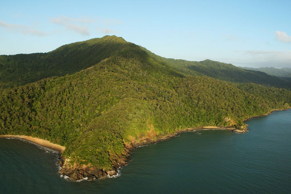 File. The Daintree rainforest is around 180 million years old