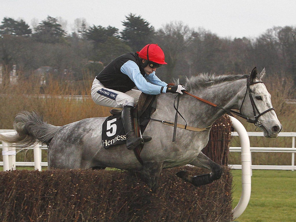 Ruby Walsh clears the last on Quel Esprit to win the Hennessy
Gold Cup at Leopards town yesterday