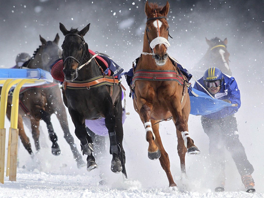 Fadri Casty is pulled by his horse during the White Turf ski
joering (“ski driving”) event at St Moritz