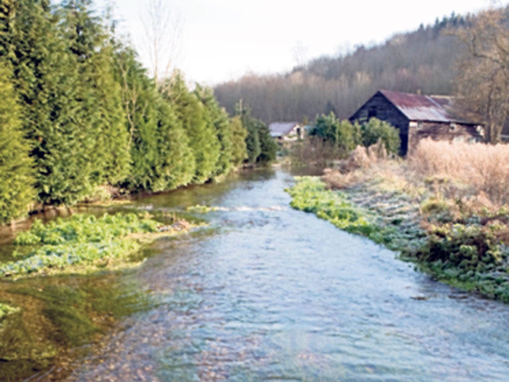 The charming Chess: one of the vanishing Chiltern chalk streams