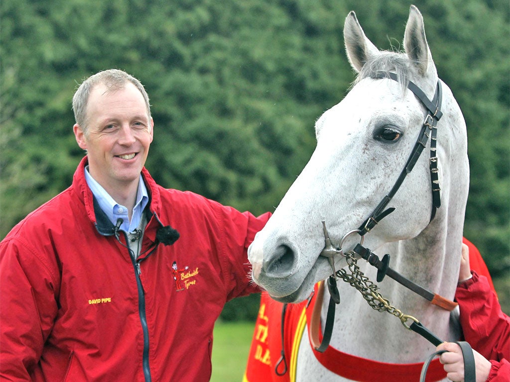 David Pipe with Grands Crus at Nicholashayne, Somerset, yesterday