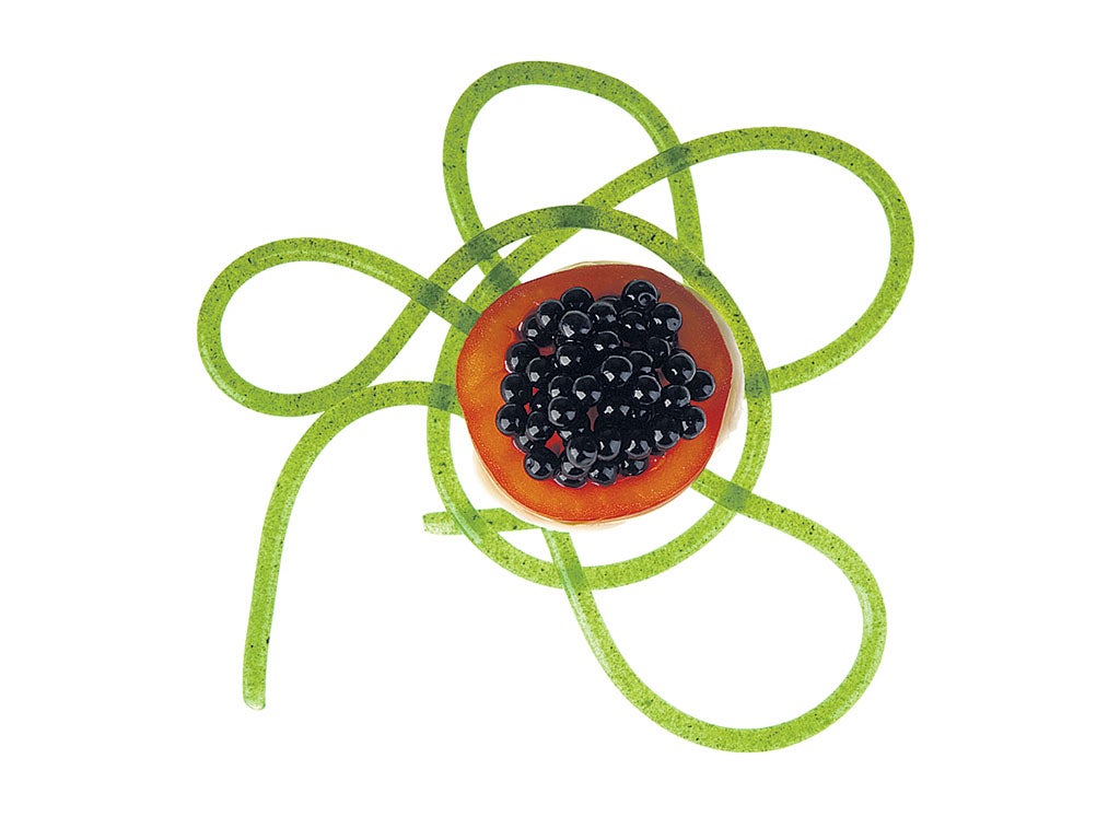 The appliance of science: the dishes cooks can make with
the molecular kit, including Arugula spaghetti