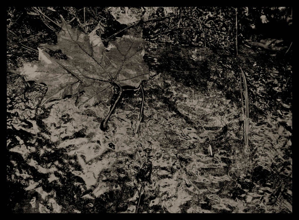 Daniel Tchetchik, Fading Ground 3, 2005, 59 x 78 cm