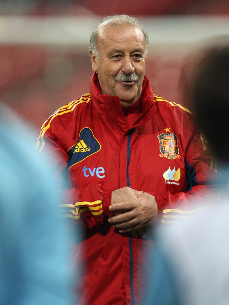 Spain coach Vicente del Bosque