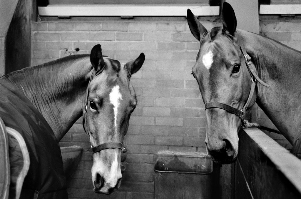 'These two lived next door to each other and clearly had a close connection'