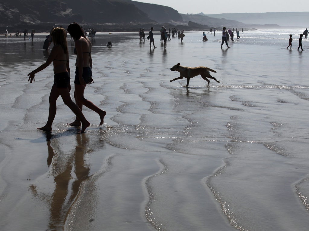 Paws and relax: pet-friendly hotels are booming