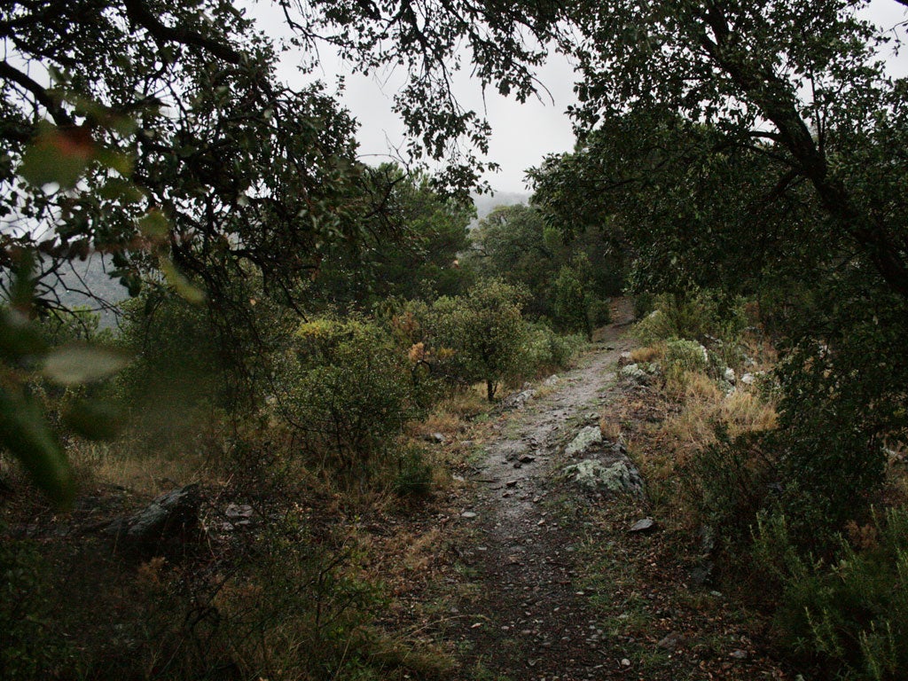 Evaders retraces the path through the Pyrannees on which Walter Benjamin attempted to flee the Nazis