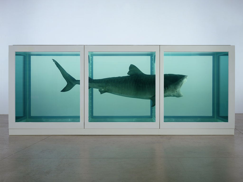 Hirst's shark in formaldehyde