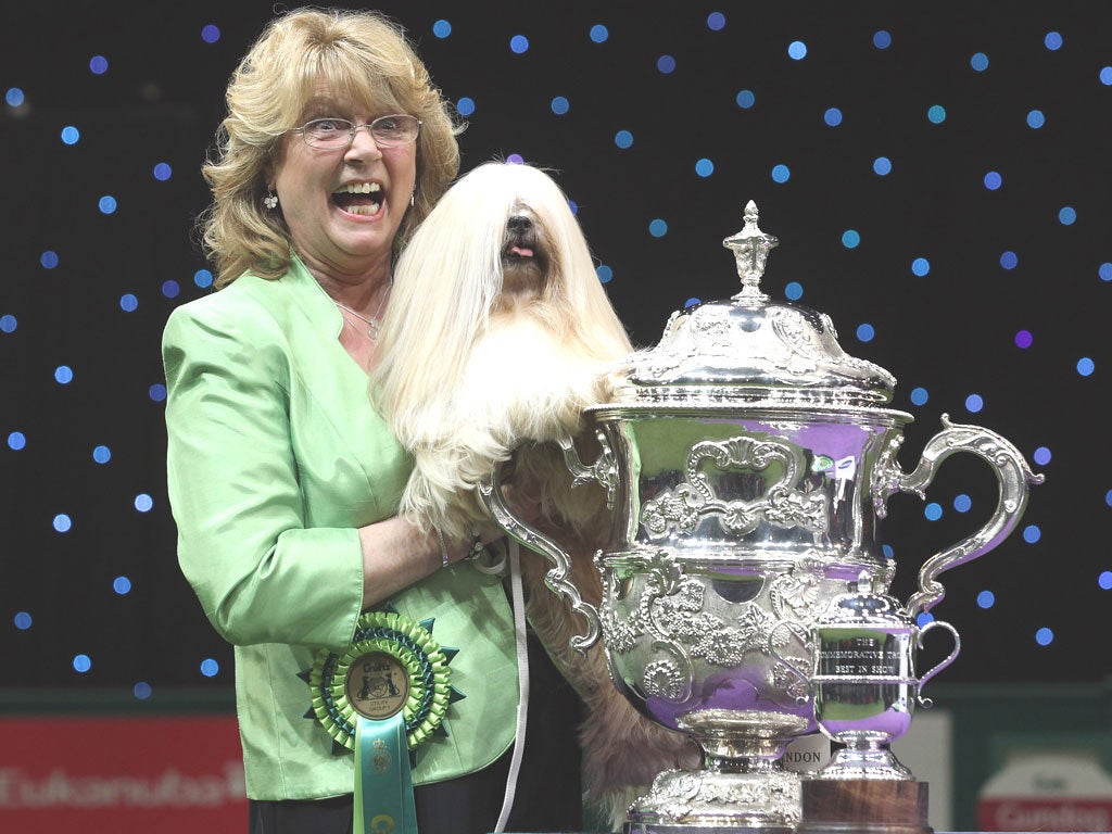 Elizabeth, a Lhasa apso, and owner Margaret Anderson pose for photographs after winning Best in Show at the 2012 Crufts