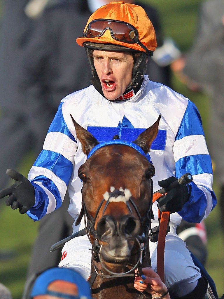 Jason Maguire celebrates on Son of Flicka yesterday