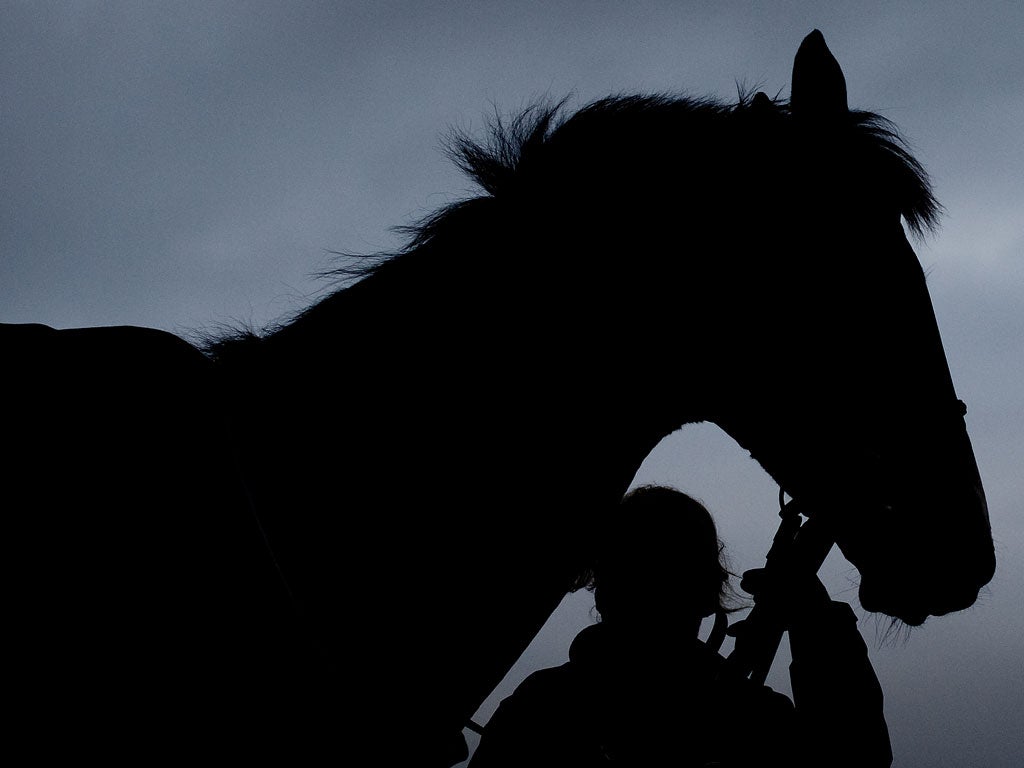 Can Kauto Star light up the Gold Cup one last time?