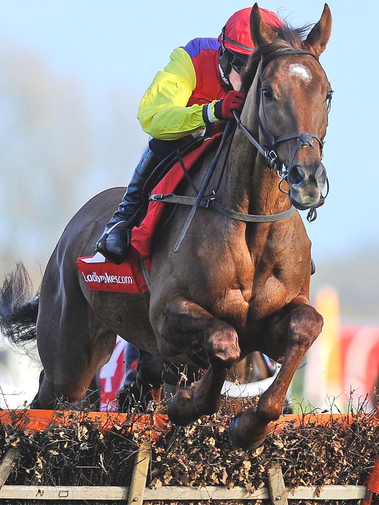 Balgarry winning at Newbury 11 days before the Festival