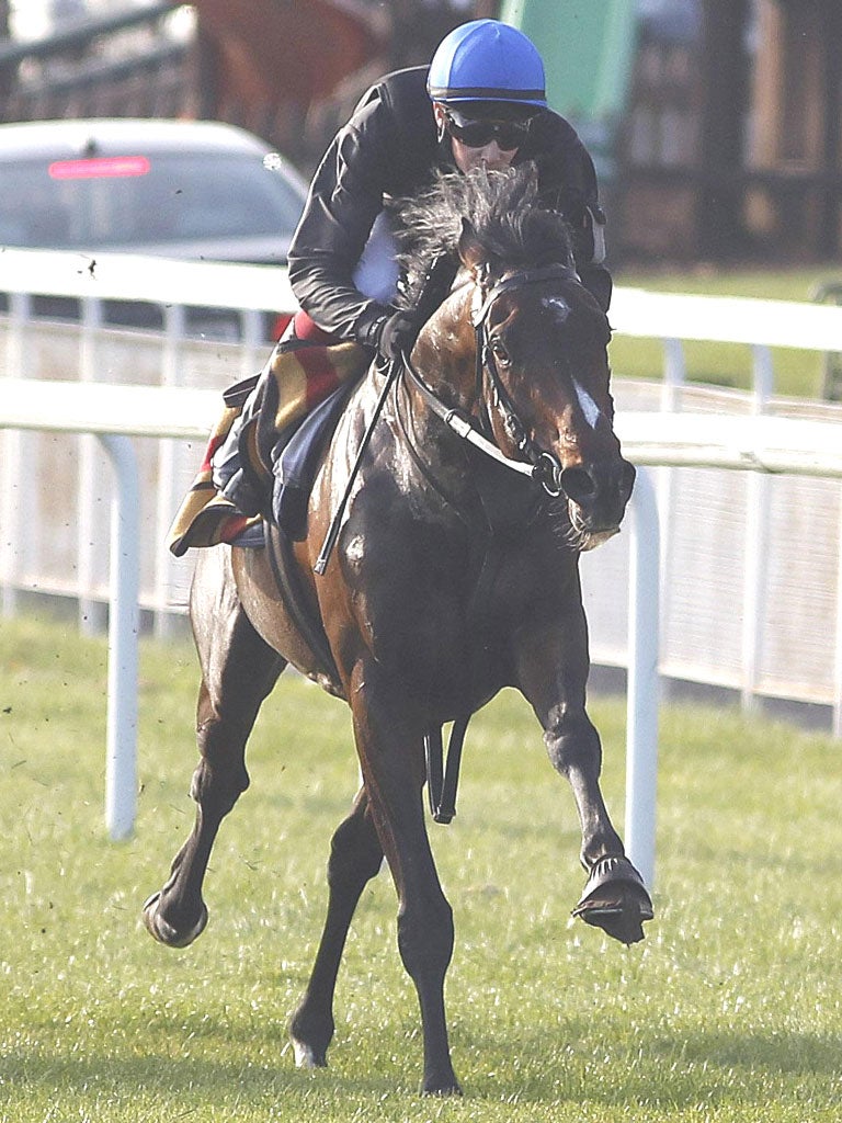 Camelot and Joseph O’Brien gallop at the Curragh yesterday